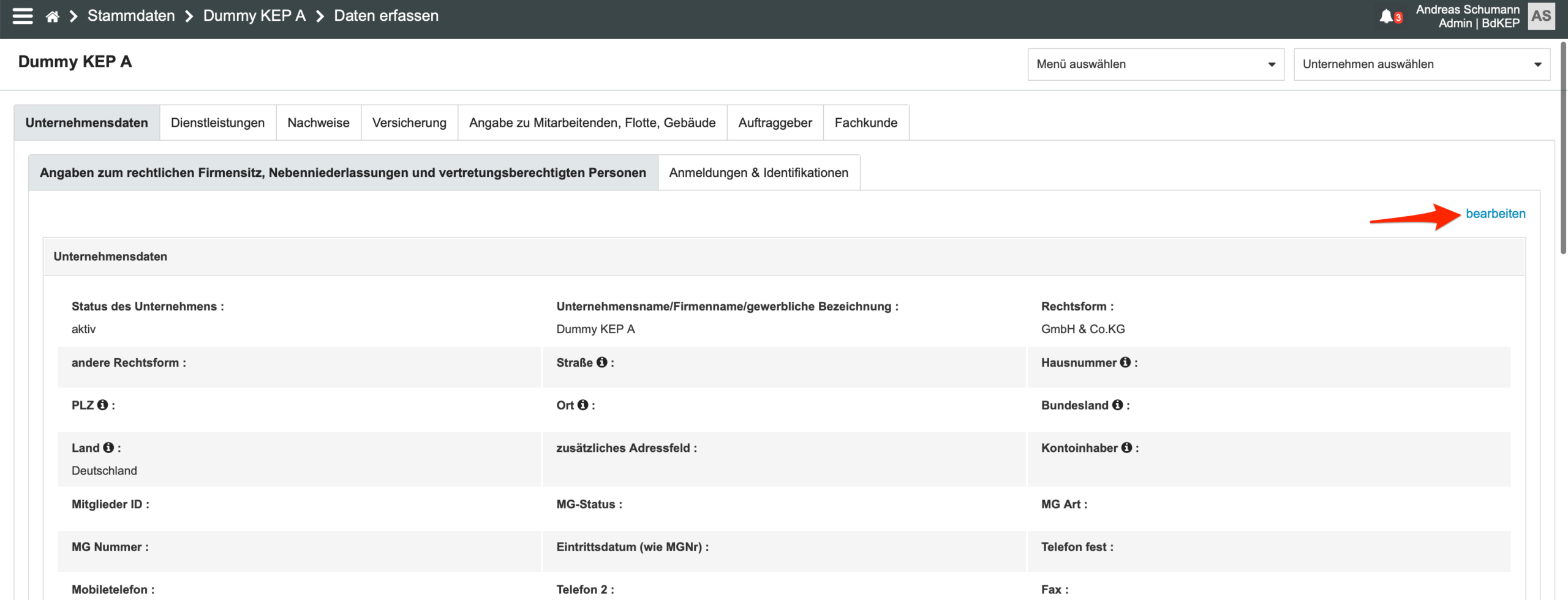 Datensatz mit Registerkarten und bearbeiten-Button